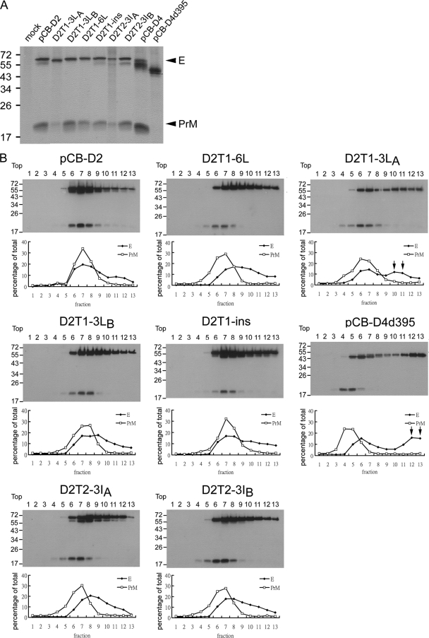 FIG. 6.