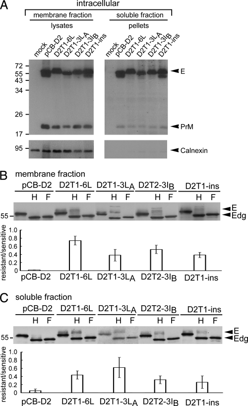 FIG. 8.