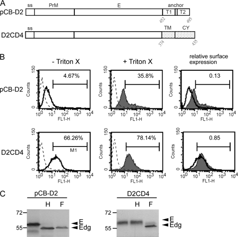 FIG. 2.