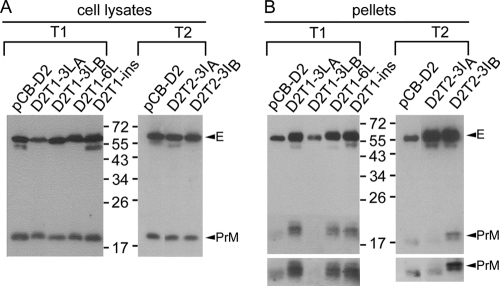 FIG. 7.