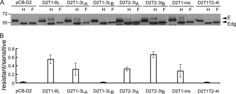 FIG. 5.