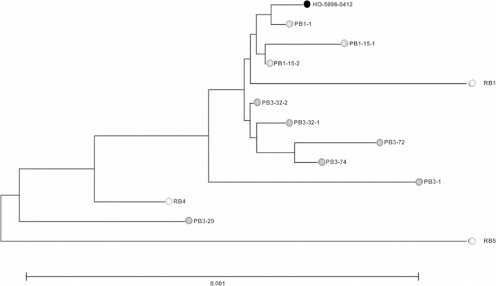 FIG 2