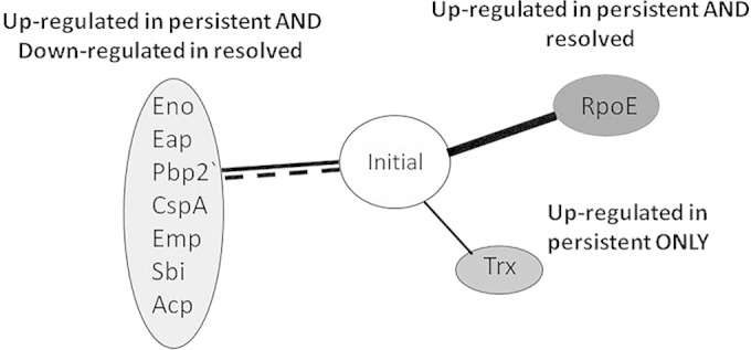 FIG 5