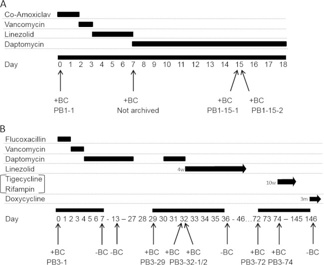 FIG 1