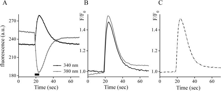 Figure 3