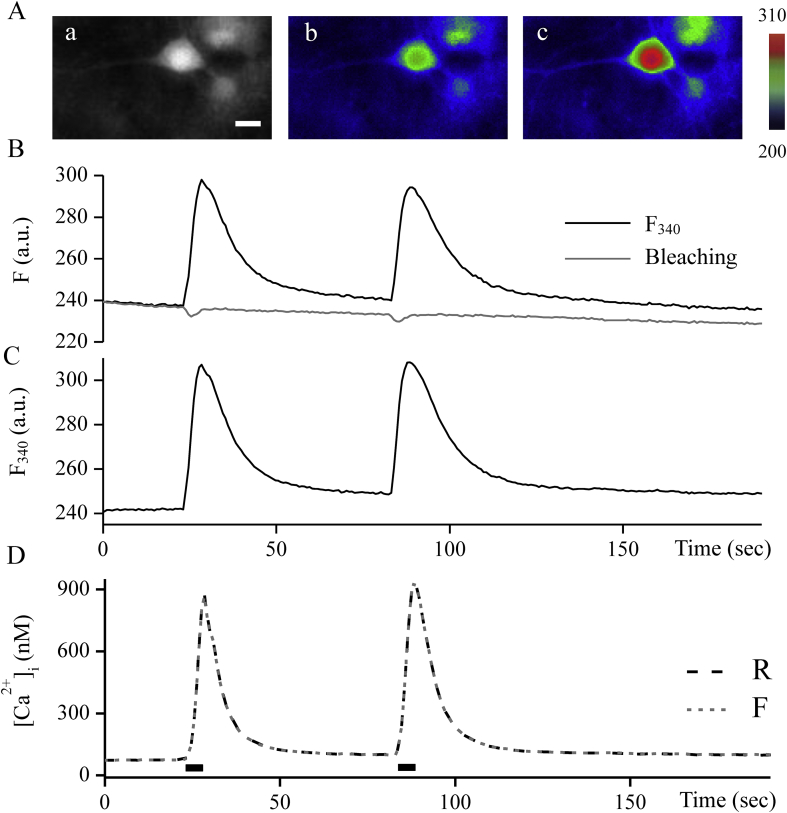 Figure 5