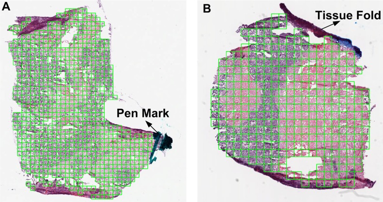 Figure 2