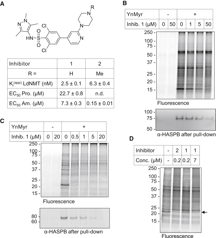 Figure 4