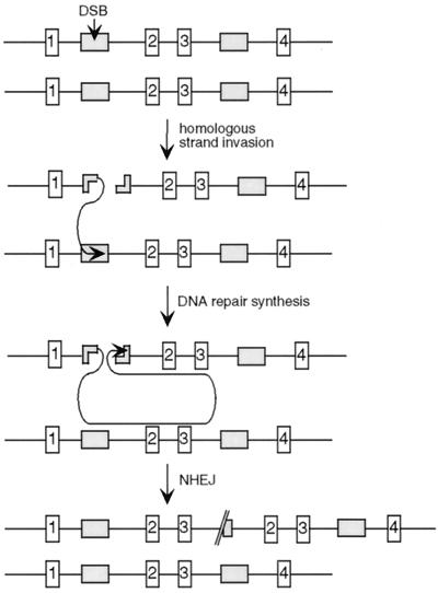 FIG. 5