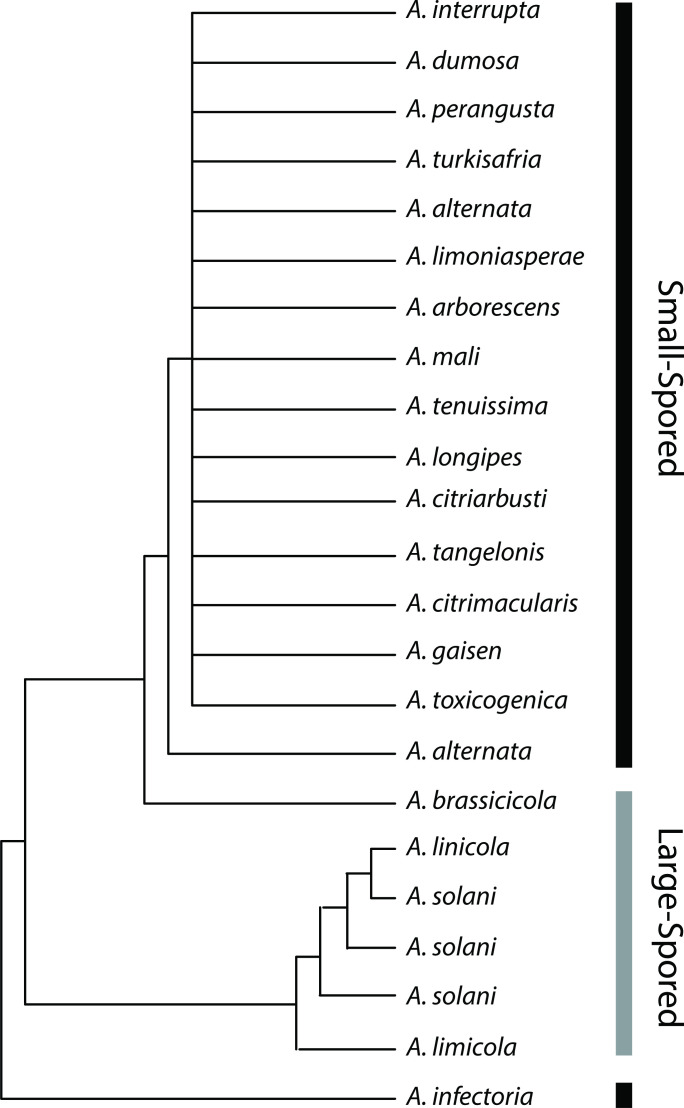 Fig. 3.