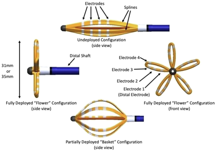 Figure 2