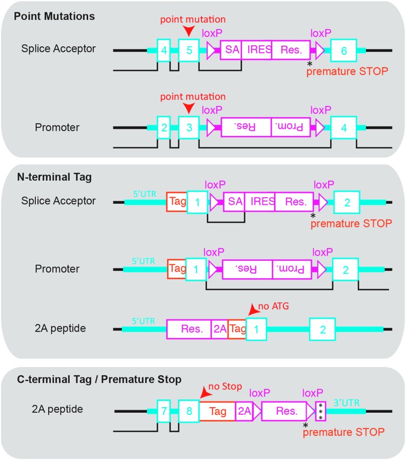 FIG. 4.