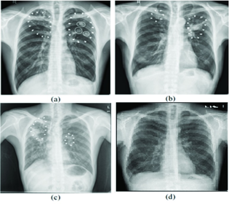 FIGURE 1.