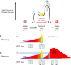 FIGURE 18.