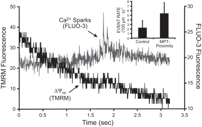 FIGURE 10.