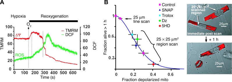 FIGURE 14.