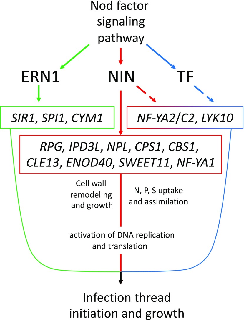 Figure 6.