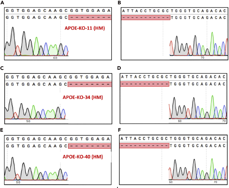 Figure 4