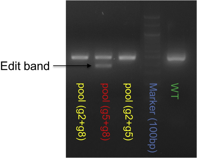 Figure 2