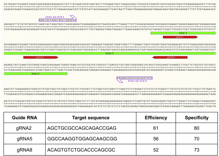 Figure 1