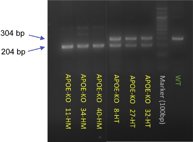 Figure 3