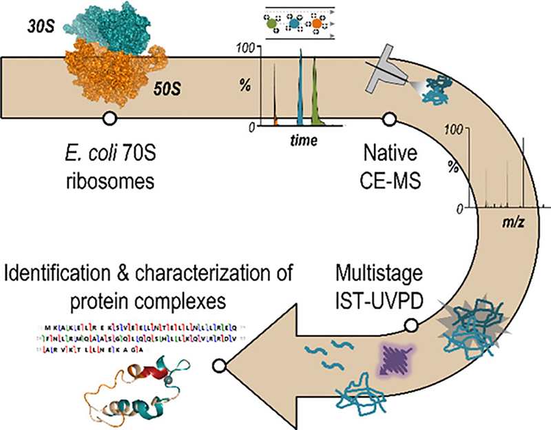 Figure 10.