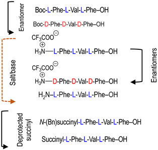 graphic file with name molecules-29-01397-i004.jpg