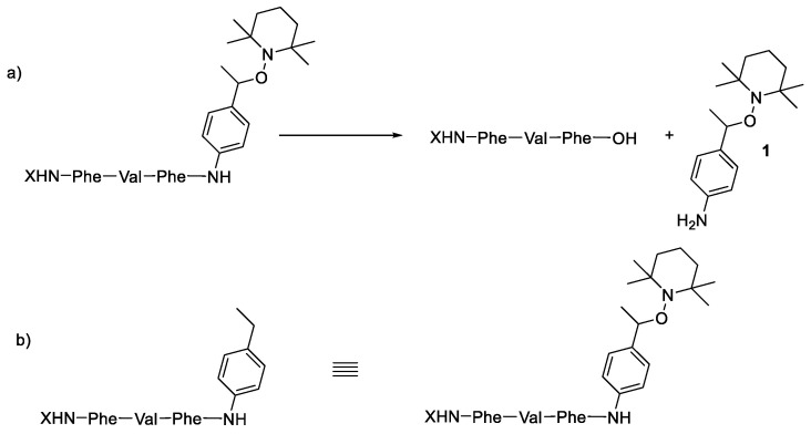 Scheme 3