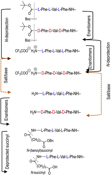 graphic file with name molecules-29-01397-i002.jpg