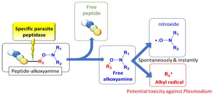 Scheme 1