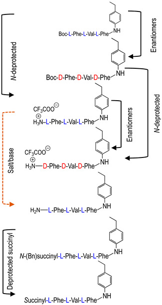 graphic file with name molecules-29-01397-i005.jpg