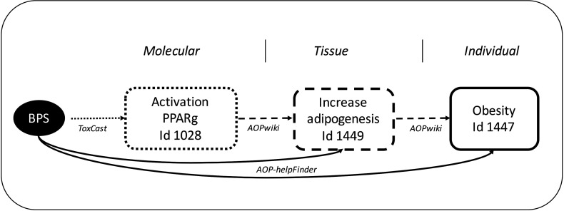 Figure 4 is a flow diagram showing potential mode of action for BPS leading to obesity.