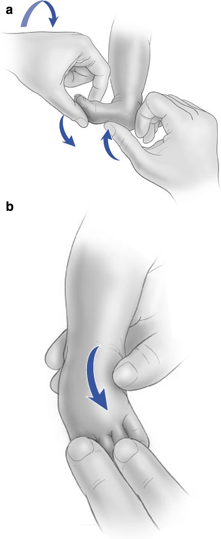 Fig. 7