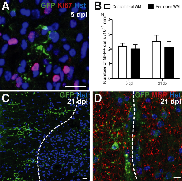 Figure 3