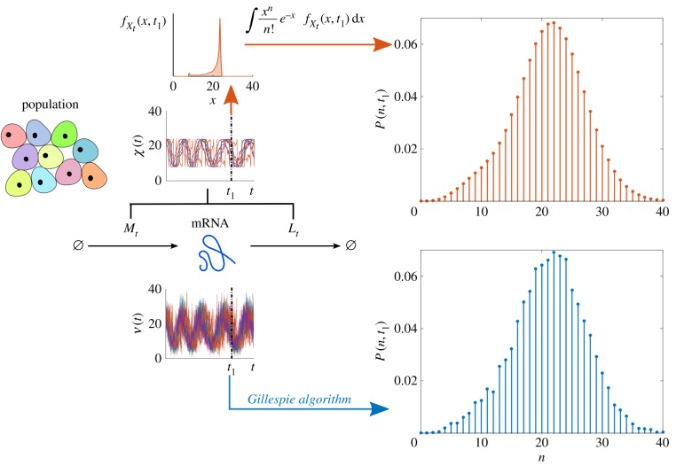 Figure 10.