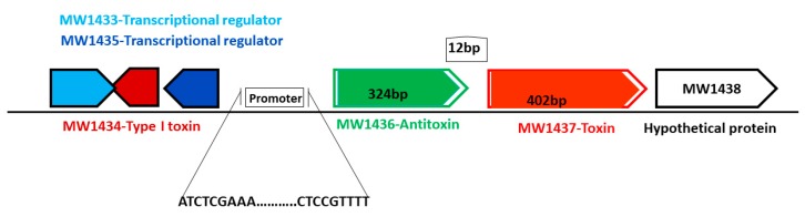 Figure 11