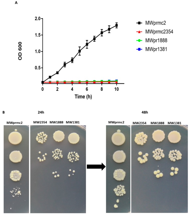 Figure 7