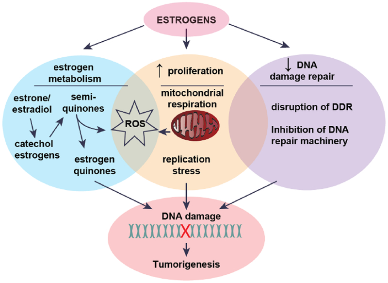 Figure 2: