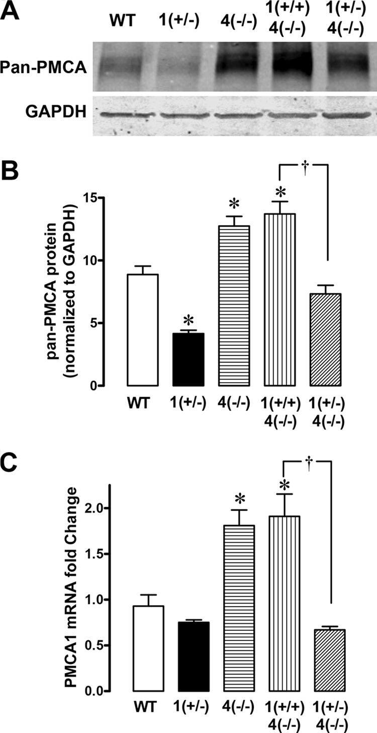 FIGURE 10.