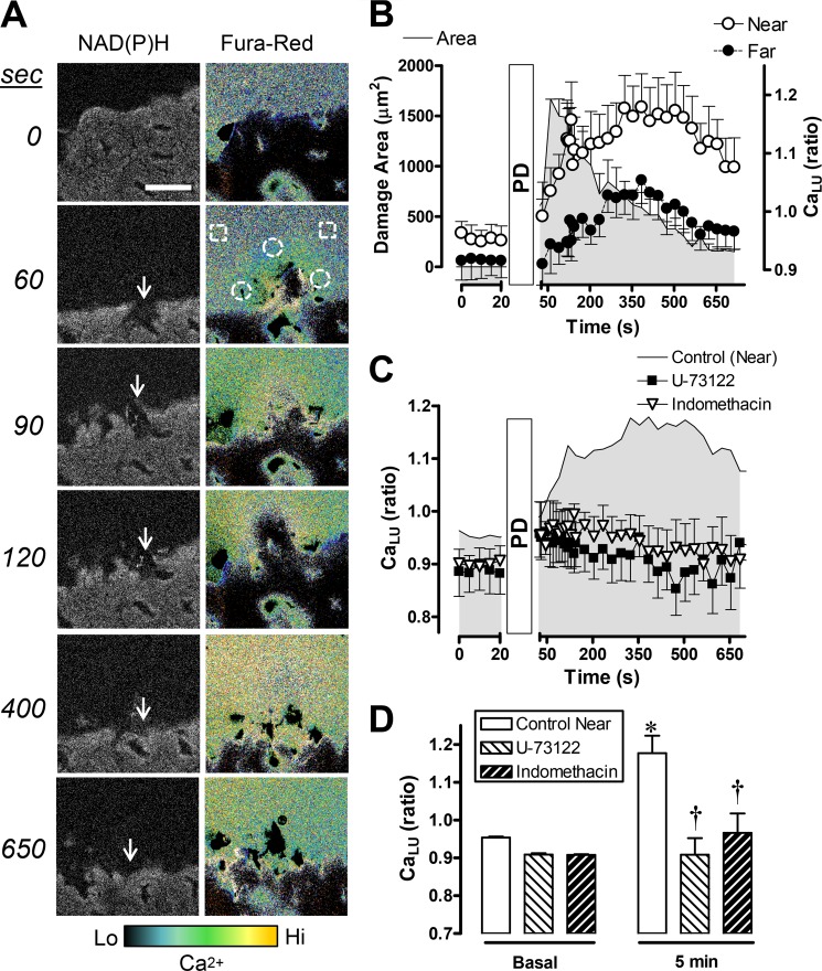 FIGURE 4.