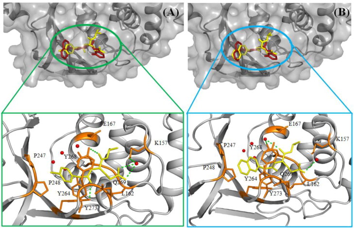 Figure 5.