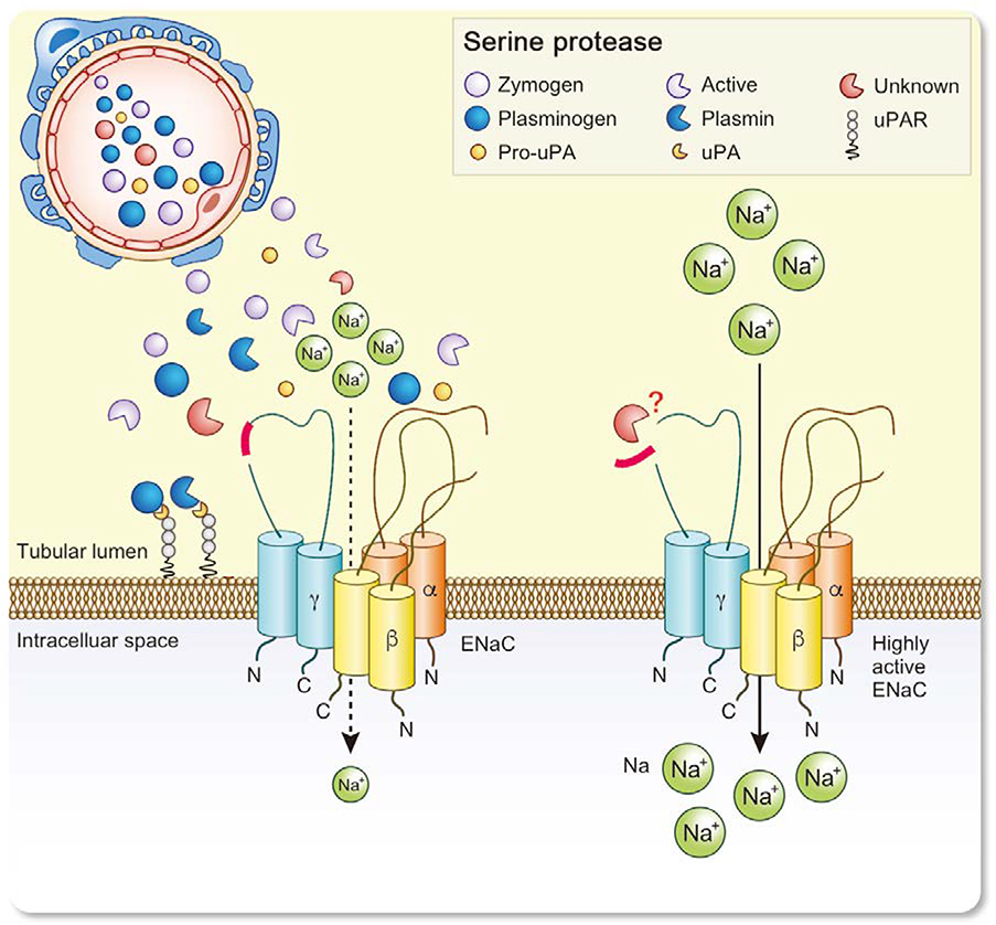 Figure 7.