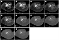 Fig. 9