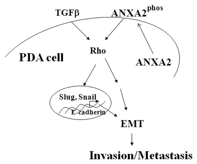 Figure 1.