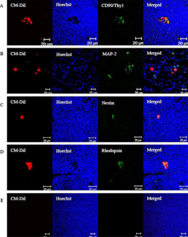 Fig. (5)