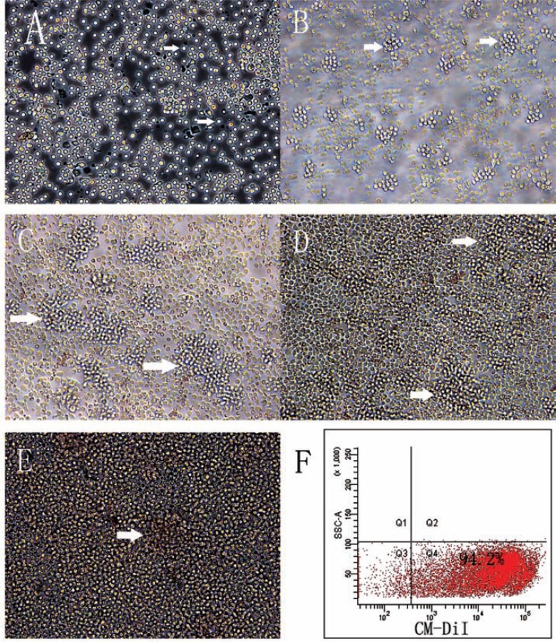 Fig. (1)