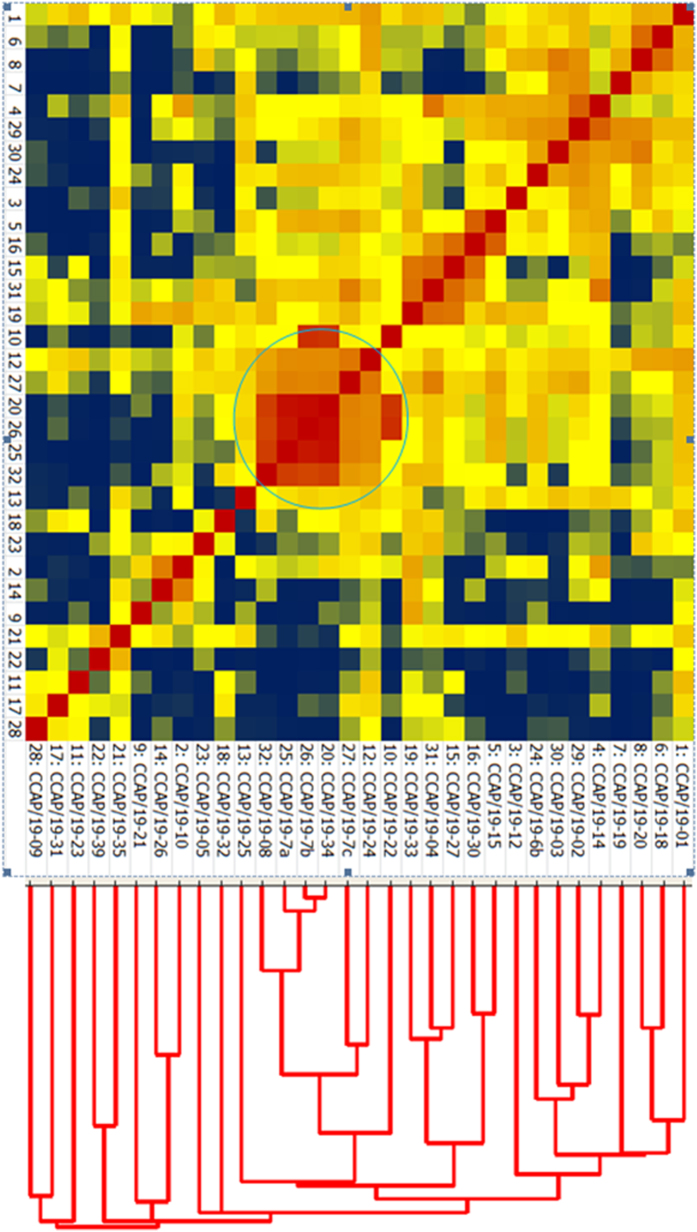 Figure 6