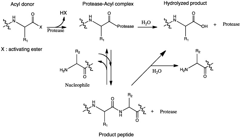 Scheme 2