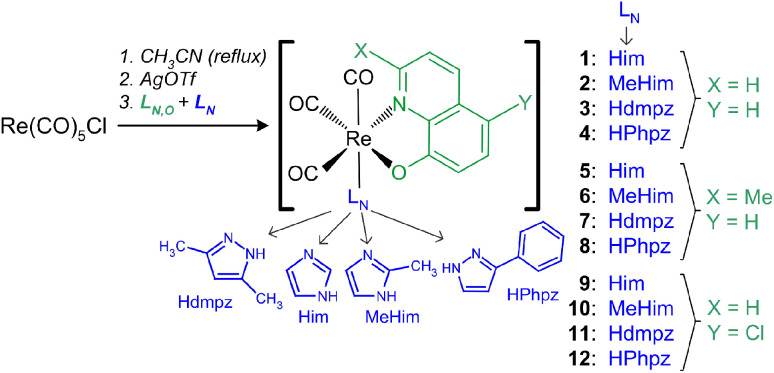 Scheme 1