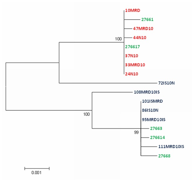 Figure 4